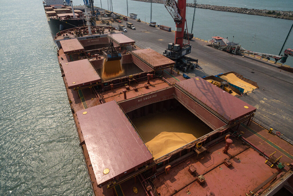 China state buyers purchase up to 13 US soybean cargoes