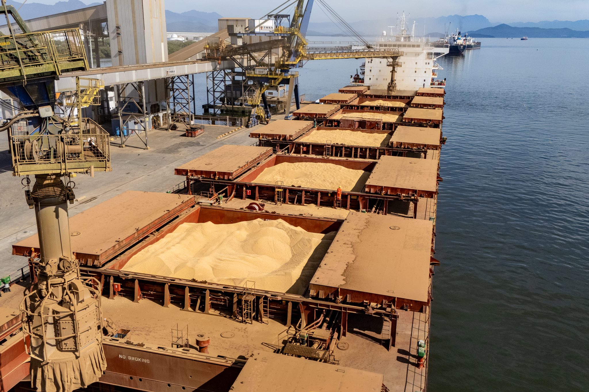 Permanence of Chinese tariffs on US soybeans could benefit Brazil: sources