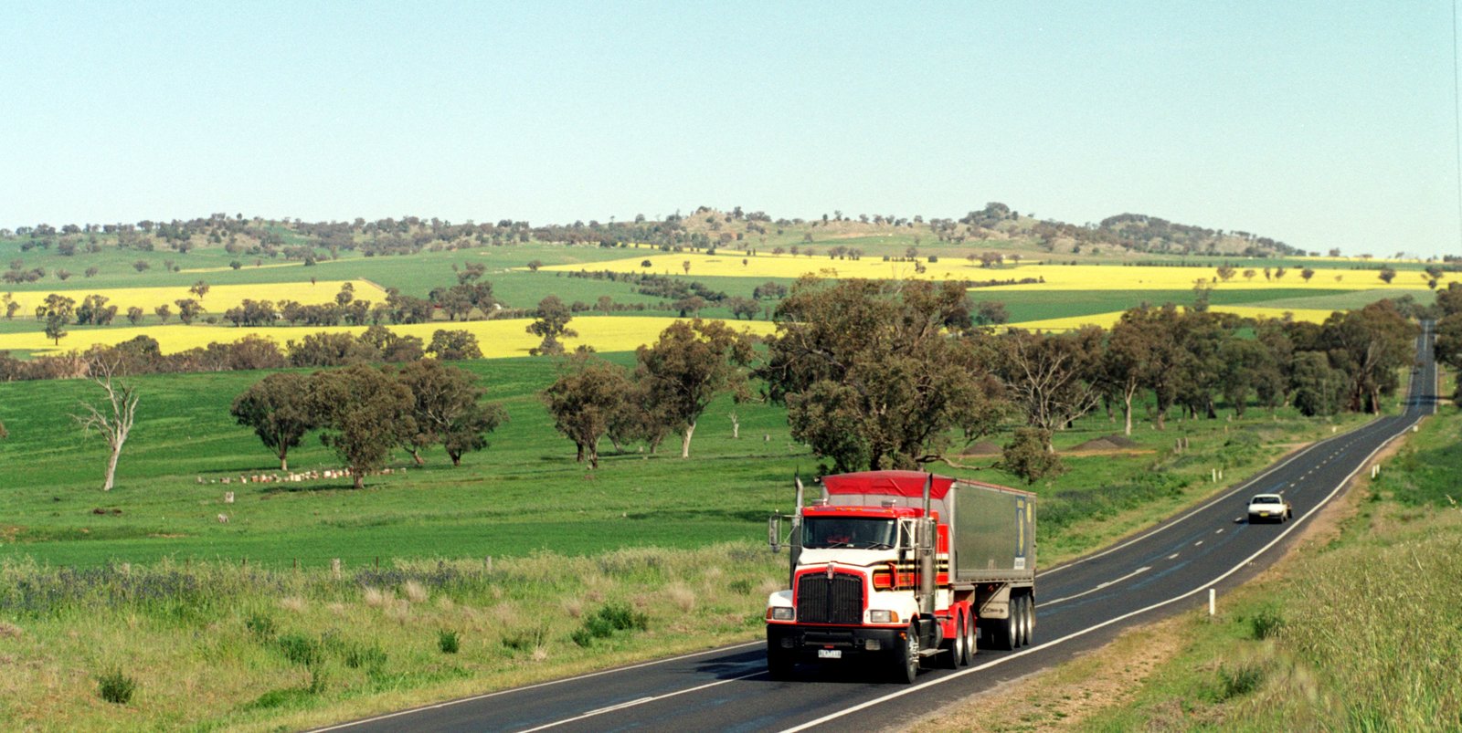 ELD Data Needs An Enforceable Standard