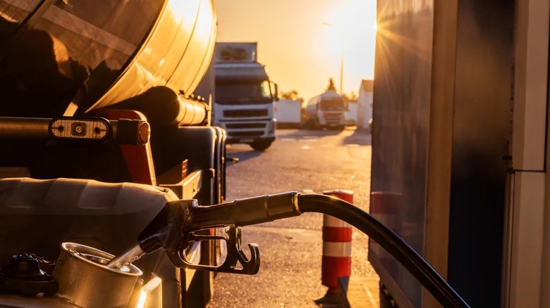 Trump Strikes Diesel Deal With Putin to Lower Fuel Prices Ahead of Midterms